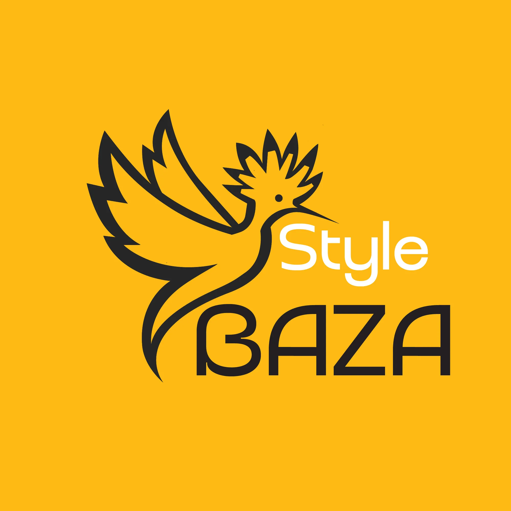 Logo Style Baza - client Infinity Pubkom agence digitale Oran