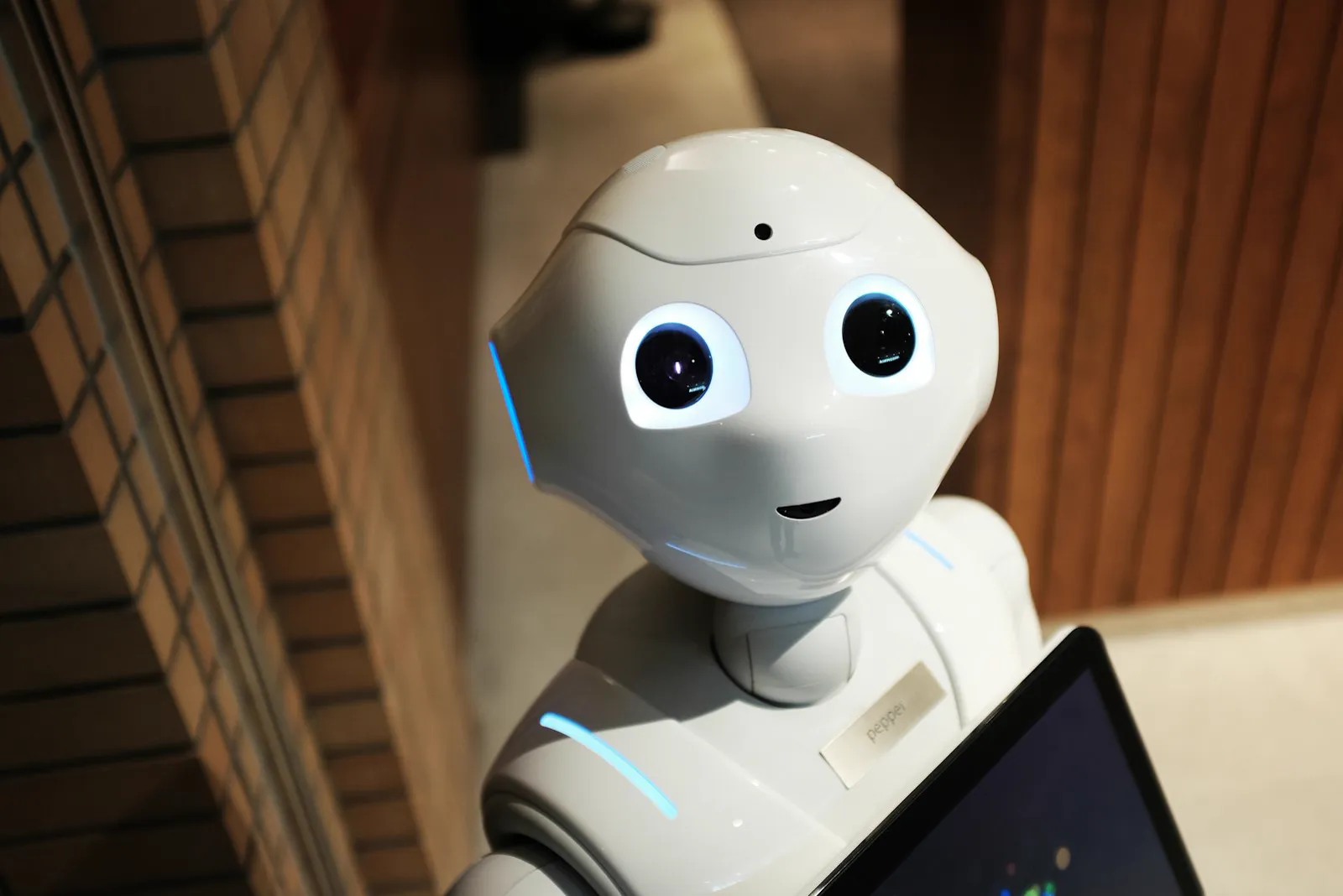 Bot Telegram - service professionnel Infinity Pubkom agence digitale Oran Algérie
